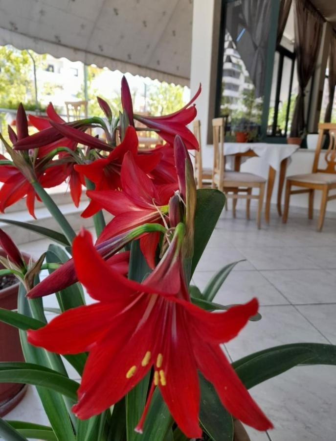 Hotel Rossi Vlorë Exterior foto